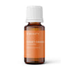 Sweet Orange Essential Oil